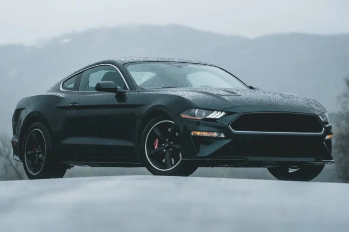 Suv ford mustang